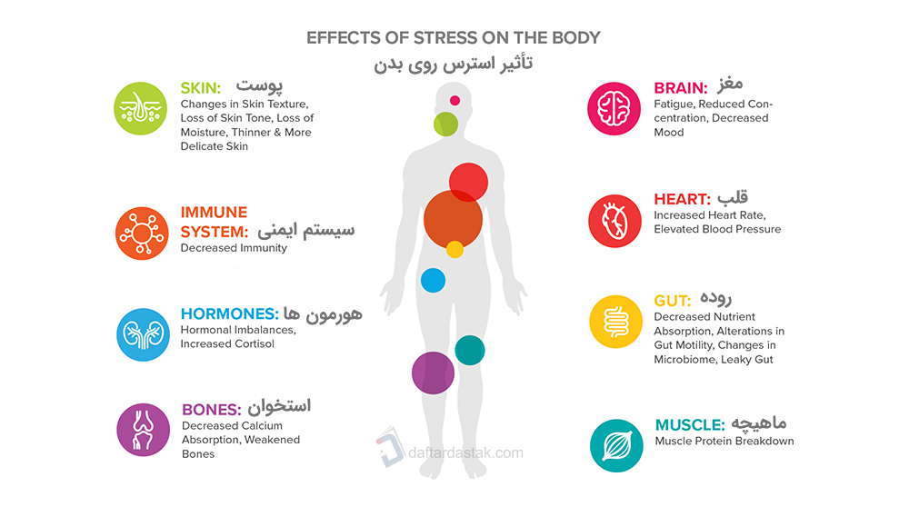 کاهش استرس و اضطراب